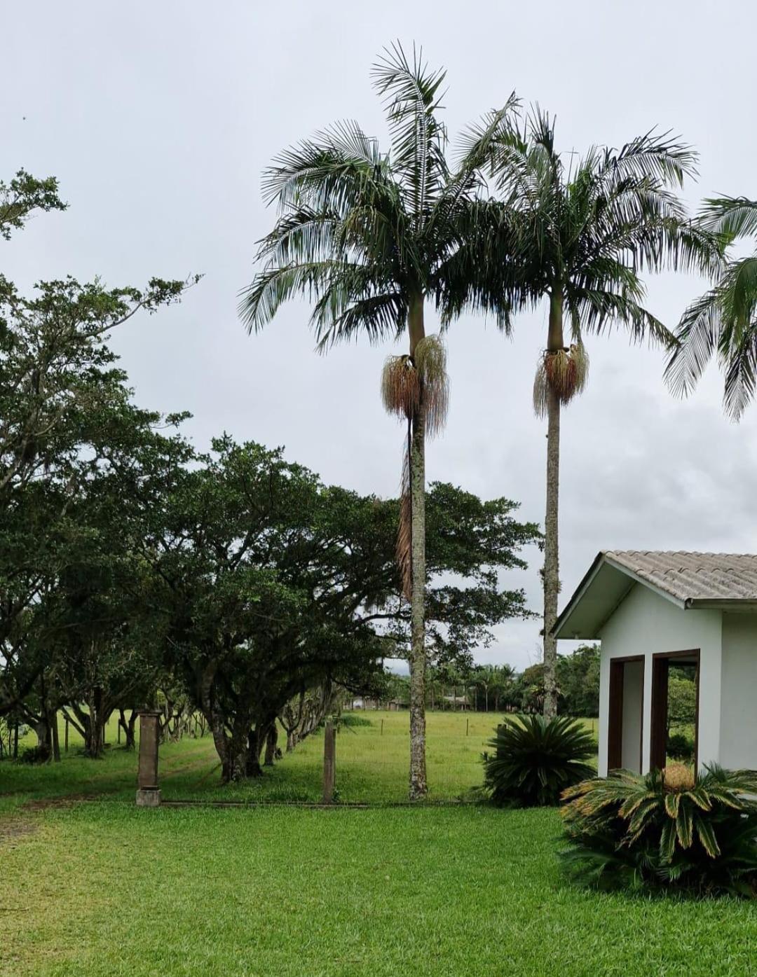 Holiday home Recanto Dos Bambus Eco